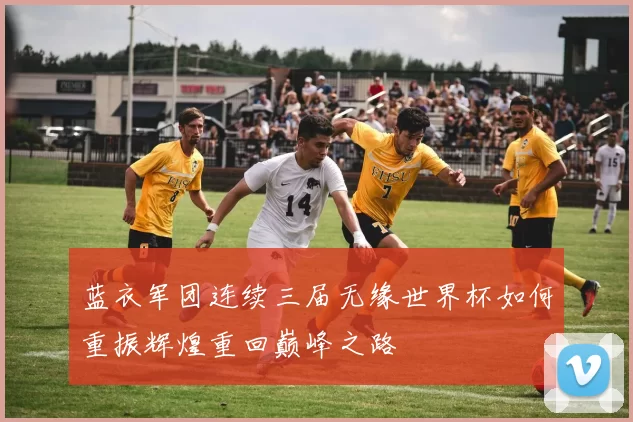 蓝衣军团连续三届无缘世界杯如何重振辉煌重回巅峰之路