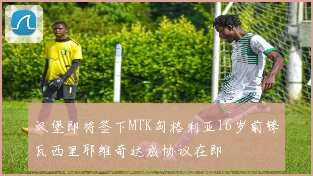 汉堡即将签下MTK匈格利亚16岁前锋瓦西里耶维奇达成协议在即