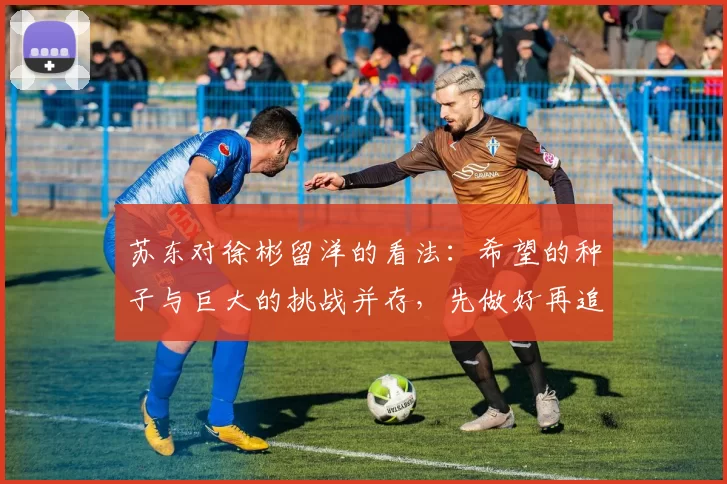 苏东对徐彬留洋的看法：希望的种子与巨大的挑战并存，先做好再追求完美