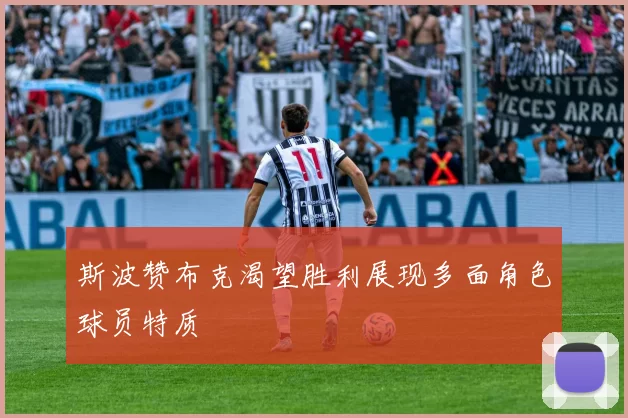 斯波赞布克渴望胜利展现多面角色球员特质