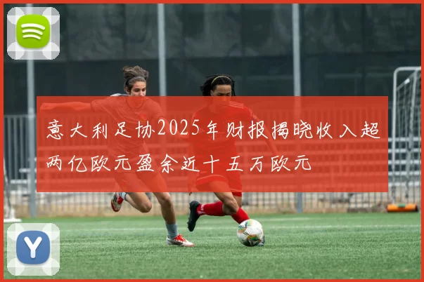 意大利足协2025年财报揭晓收入超两亿欧元盈余近十五万欧元